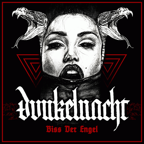 Dunkelnacht : Biss der Engel